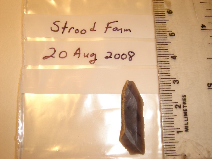 leaf-shaped arrow head